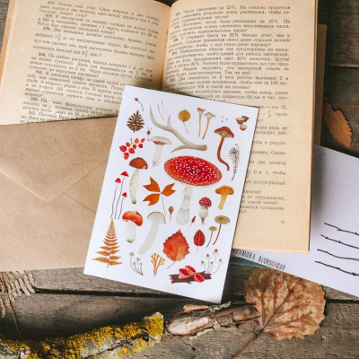 Открытка Дворникова А. "Лесные находки" светлая