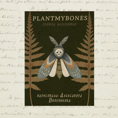 Деревянная брошка Дворникова А. "Мотылек"