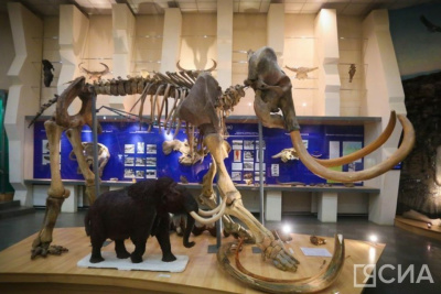 Из кожи найденного в Якутии мамонта впервые извлекли остекленевшие древние хромосомы / ЯСИА   Республика Саха (Якутия)