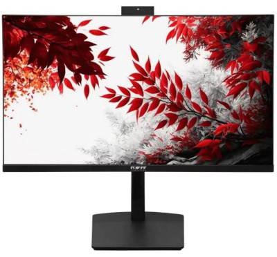 Монитор 23,8" RDW Computers RDW 2402K черный IPS 4ms HDMI Cam HAS Piv 300cd 178гр/178гр 1920x1080 100Hz VGA DP USB (RUS)