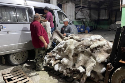 «Сахабулт» передал очередную партию оленьих шкур для участников СВО / ЯСИА   