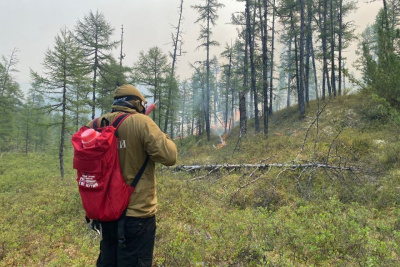 Ученый: рост температур и пожаров в Якутии происходит быстрее, чем в других регионах России / ЯСИА   Республика Саха (Якутия)