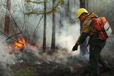 19 июля: тушат два лесных пожара /    