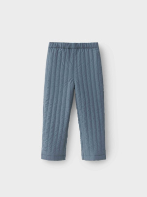 Брюки демисезонные Willy Storm Blue