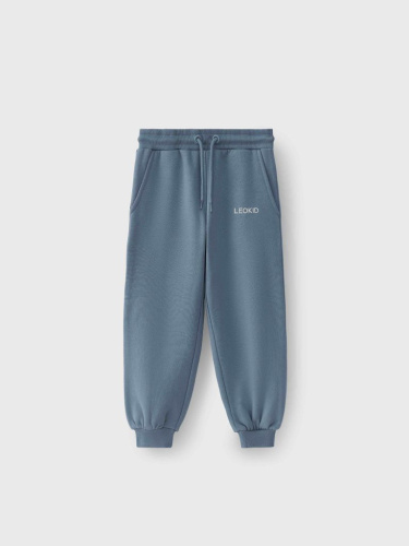 Брюки трикотажные Terry Storm Blue