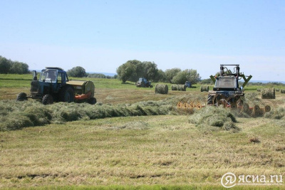 В Якутии тракторист наехал на лежавшего в стоге мужчину / ЯСИА   Республика Саха (Якутия)