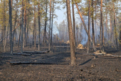 Беременных женщин и детей эвакуируют из села Оргет в Якутии / Нарыйа Пахомова   Республика Саха (Якутия)