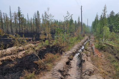 Энергетики восстанавливают поврежденные лесным пожаром линии в Верхневилюйском районе / ЯСИА   