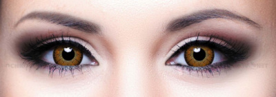 Контактные линзы Illusion Colors Elegance Коричневый Brown (2 линзы)