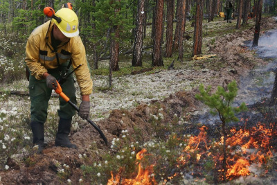 29 июля: два лесных пожара ликвидированы /    