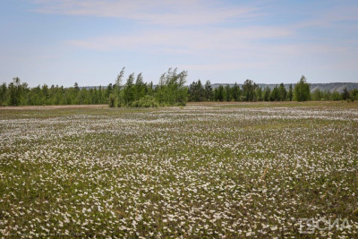 Землетрясения силой до 6–8 баллов могут произойти в Якутии  / ЯСИА   Республика Саха (Якутия)