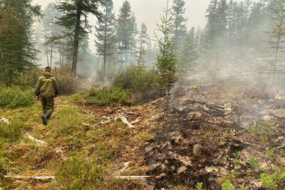 Девять штрафов на 1,26 миллиона рублей оформили сотрудники Минэкологии Якутии / ЯСИА   