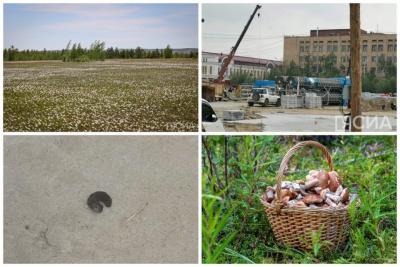 Обзор популярных и интересных новостей за 30 июля в Якутии / ЯСИА   Республика Саха (Якутия)