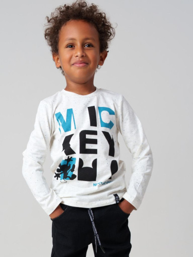 Фуфайка трикотажная для мальчиков (футболка с длинными рукавами)