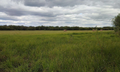 Спасатели выехали в Намский район на поиски пропавшей три дня назад женщины / ЯСИА   