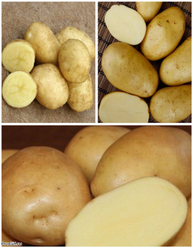 Набор "Выбор гурмана" 3 сорта (3 кг)