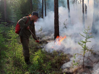 Добровольцы, откликнитесь! /    