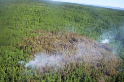 Более 50 парашютистов из двух регионов направили в Якутию для борьбы с лесными пожарами / ЯСИА   