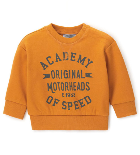 Свитшот для маленького мальчика