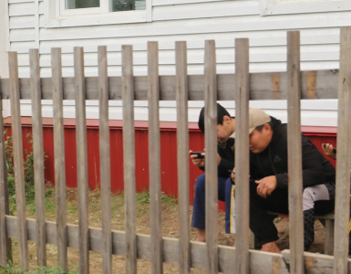 Минцифры приглашает сельчан к голосованию по кабельному интернету /    