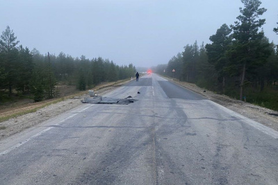 Насмерть сбивший пешехода в Мегино-Кангаласском районе водитель скрылся с места ДТП / ЯСИА   