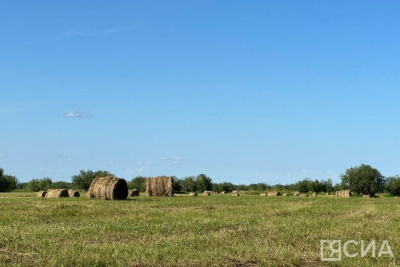 Аграрии Якутии заготовили свыше 165 тысяч тонн сена / Нарыйа Пахомова   