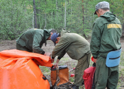 7 августа: один лесной пожар ликвидирован /    