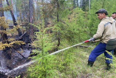 Главный лесничий Горного района: «Пожары начались после гроз» / Мария Горохова   