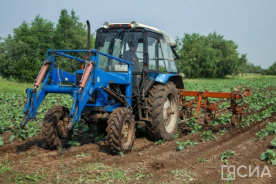 В Хангаласском районе проведут республиканский «День поля» / ЯСИА  Хангаласский Республика Саха (Якутия)