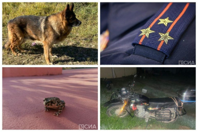 Обзор популярных и интересных новостей за 8 августа в Якутии / ЯСИА   Республика Саха (Якутия)