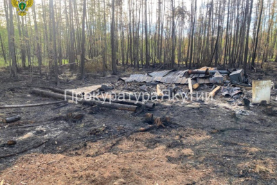 Мужчина предстанет перед судом за уничтожение пожаром 33 га леса в Якутии / ЯСИА   Республика Саха (Якутия)
