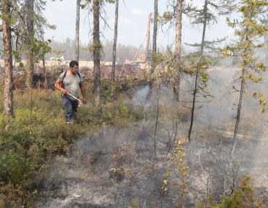 Готовят к ликвидации /    