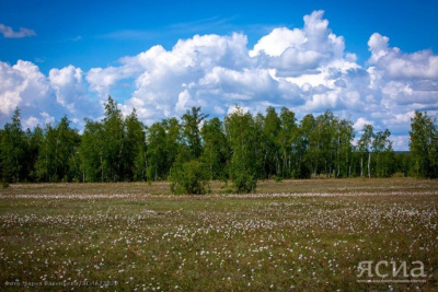 Потерявшийся в Чурапчинском районе Якутии мужчина найден / ЯСИА  Чурапчинский Республика Саха (Якутия)