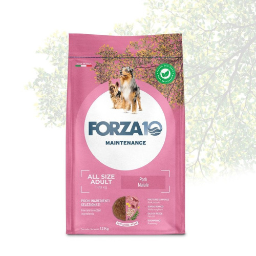 Forza10 Adult Maintenance All Breeds сухой корм для собак всех пород, повседневный, со свининой - 2 кг ветеринарный для взрослых со свининой мешок Италия 1 уп. х 1 шт. х 2 кг