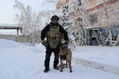 Овчарка Ястреб из Якутского ОМОНа участвует в фотоконкурсе служебных собак Росгвардии / ЯСИА   