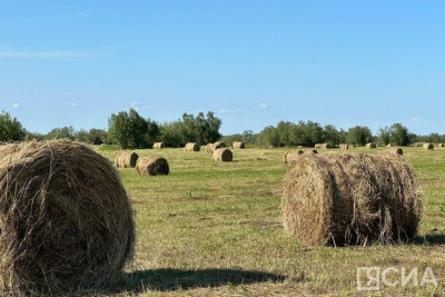 В Якутии план по заготовке сена выполнен на 70% / Николай Борисов   Республика Саха (Якутия)