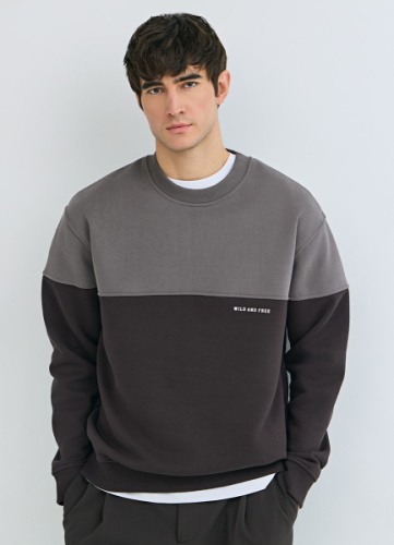 Свитшот колор-блок с надписью, Коричневый