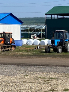 Слово нашим кормильцам: Что посеяли, то и жнём, а еще думаем о перспективах! / Ольга Жукова  Алданский Республика Саха (Якутия)