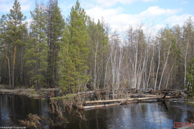 Жителям Олекминского района, пострадавшим от паводка, возместят потерю имущества из федбюджета / ЯСИА   