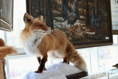 Государственную информационную систему в области охоты создадут в России / ЯСИА   