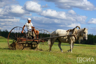 Аграрии Якутии заготовили 372 тысячи тонн сена / ЯСИА   