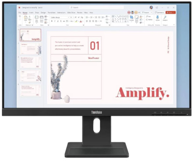 Монитор 23,8" Lenovo ThinkVision E24-40 64BAMAT1EU 1920*1080, IPS, 16:9, 250cd, 1300:1, HDMI, DP, VGA, 100Hz, lift, tilt, pivot, swivel