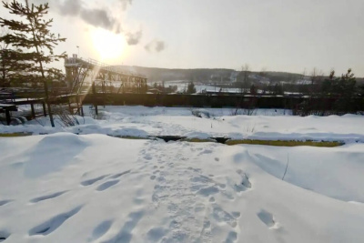 Режим экстраординарной ситуации введен в поселке Серебряный Бор / Николай Борисов   