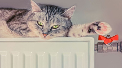 Глава района предложил запускать тепло раньше /    