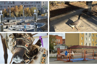 Обзор интересных и популярных новостей в Якутии за 16 сентября / ЯСИА   Республика Саха (Якутия)