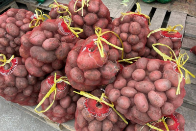 В Якутии волонтеры помогают семьям участников СВО в уборке урожая / ЯСИА   Республика Саха (Якутия)