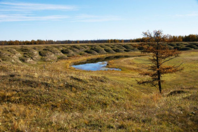 Фильм о карбоновых полигонах покажут на Северном форуме по устойчивому развитию в Якутии / ЯСИА   Республика Саха (Якутия)