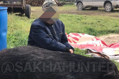 Фотофакт: в Ленском районе Якутии добыли дикого кабана / ЯСИА  Ленский Республика Саха (Якутия)