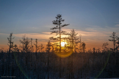 20 марта день сравняется с ночью во всех уголках Земли / ЯСИА   
