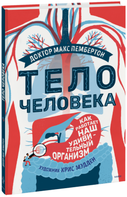 Тело человека